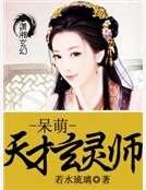 呆萌天才玄靈師