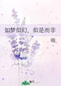 如梦似幻,似是而非